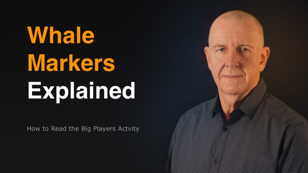 Why Your Whale Markers Look “Wrong” – And What They’re Really Showing You